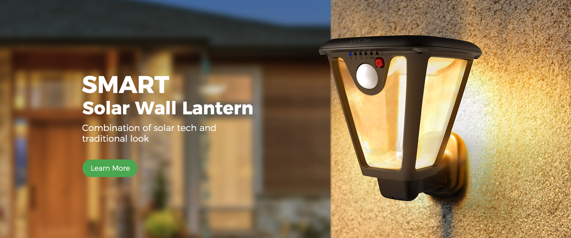 Litom Solar Landscape Lights